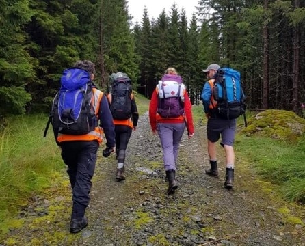 Sorehesten opp 3 (2)