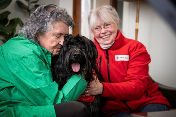 besøksvenn med hund