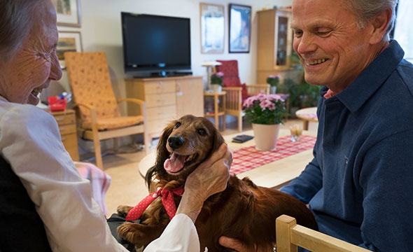 170130_besøkshund_027-590x360