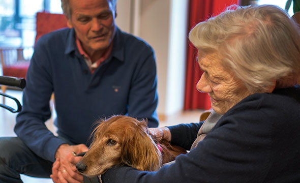 170130_besøkshund_147-590x360