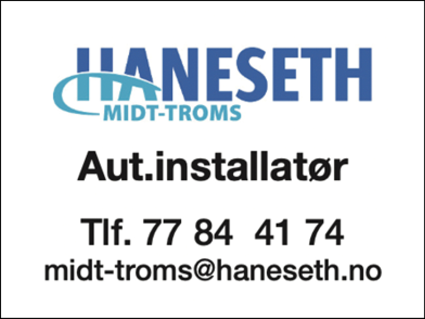 Haneseth_logo