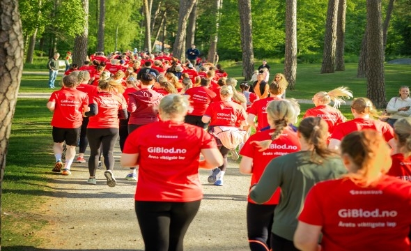 En stor gjeng med løpere