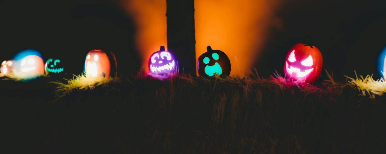 Gresskar pyntet til Hallooween