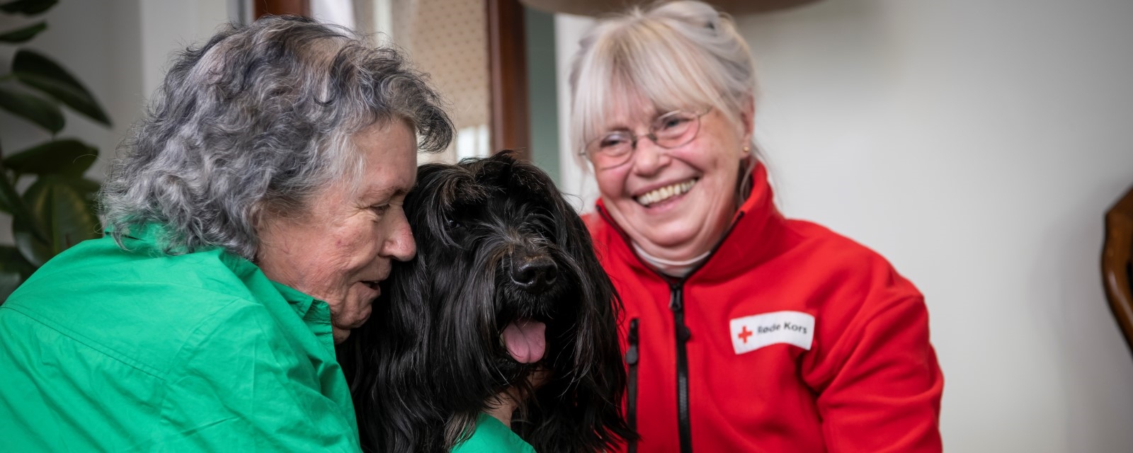 Bilde av Apotek 1-produkt med gavelapper hengende rundt + nærbilde av gavelapper