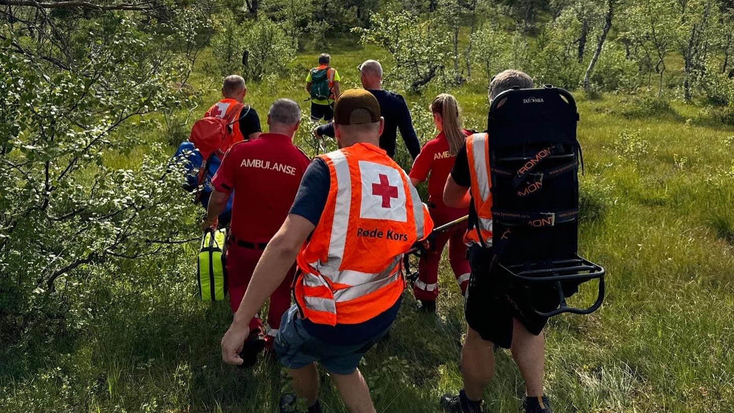 Hjelpekorpsfrivillige i skog