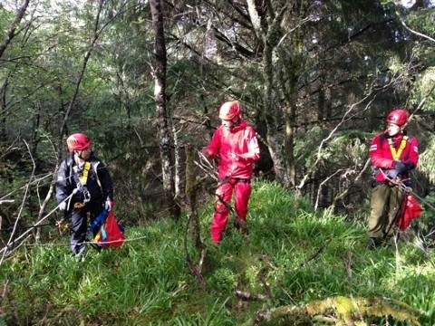 krevande-lende_flora