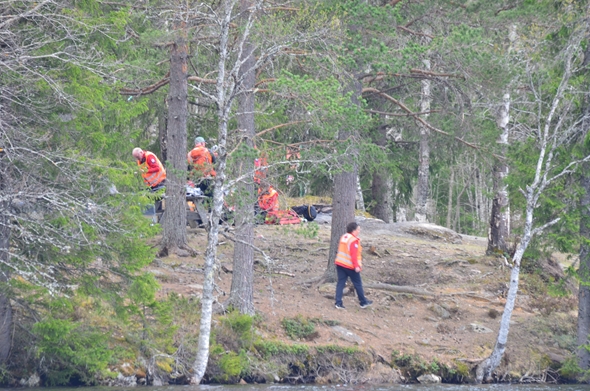 Mange frivillige i skogen.
