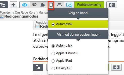 Skjermbilde som viser forhåndsvisning i Episerver.