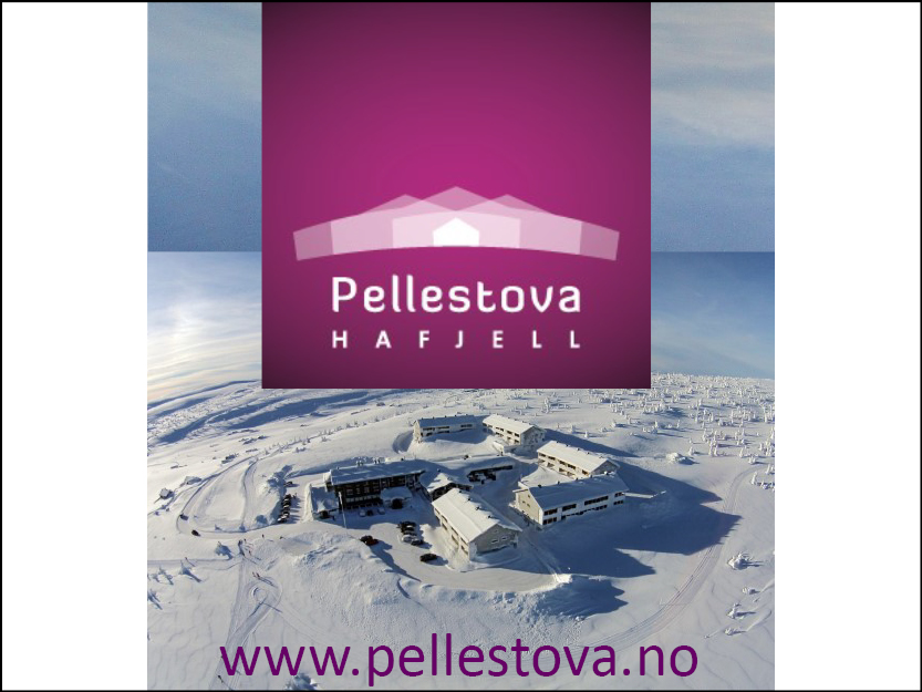 pellestova_logo