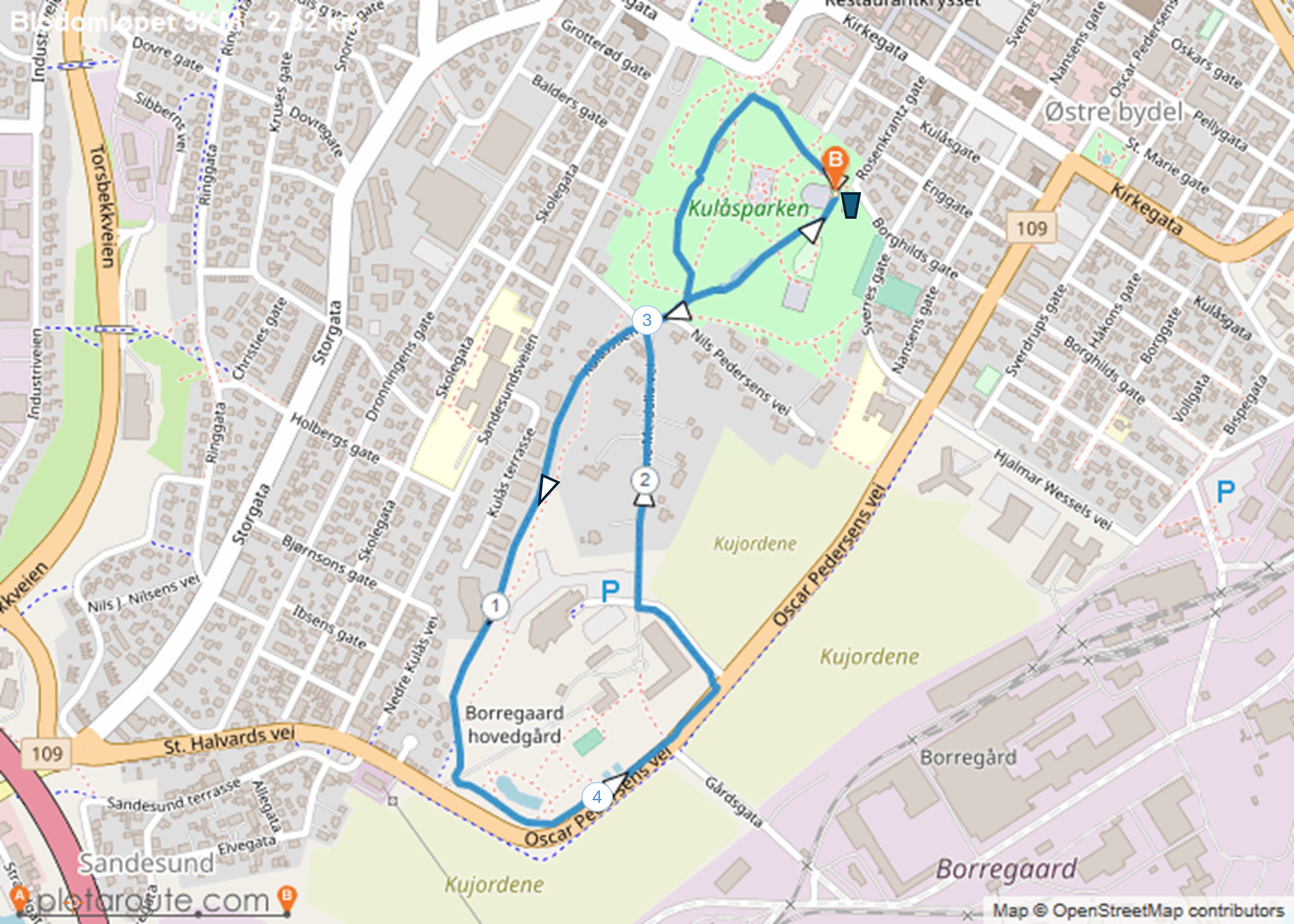 Blodomløpet 5km__.jpg