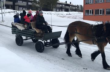 Ferie for Alle i Møre og Romsdal