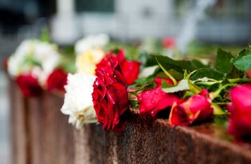 Røde og hvite roser ligger på en mur i regnet. Røde Kors minnegaver