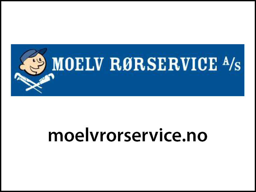 Moelvrorservice_logo