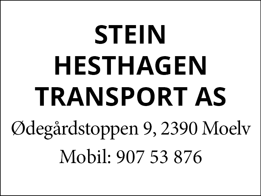 STEIN  HESTHAGEN_logo