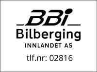 BBI bilberging_logo