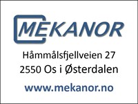 Mekanor_logo