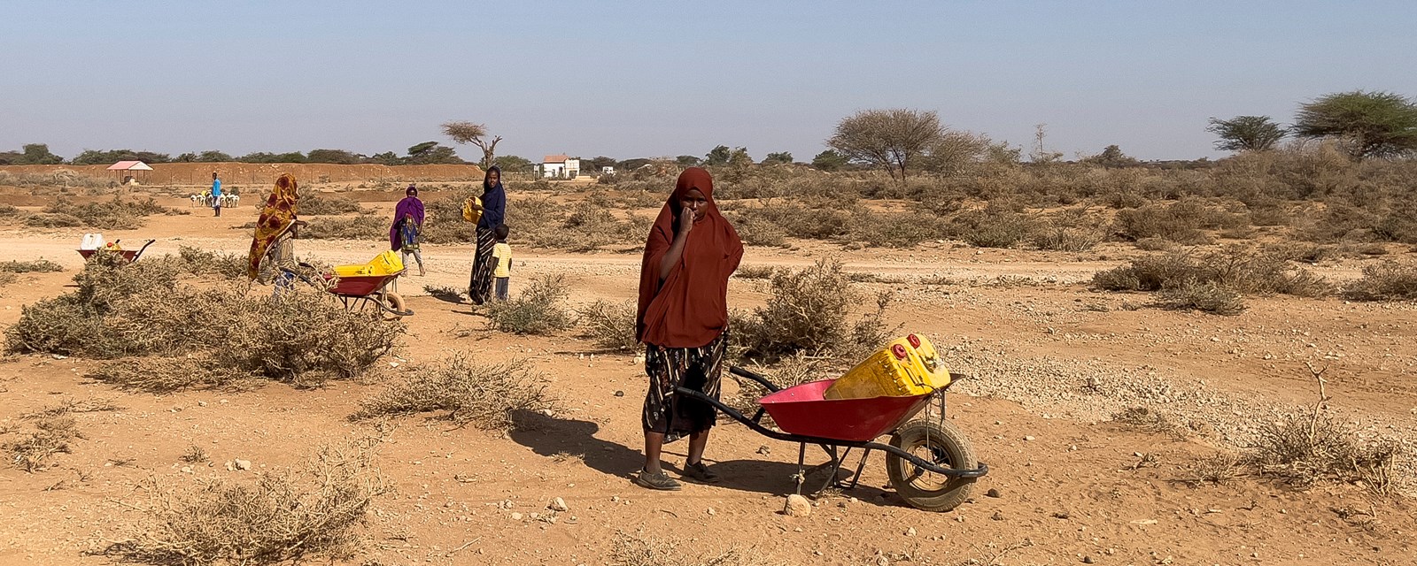 En jente er på vei for å hente vann med en trillebår i det nordlige Somalia.