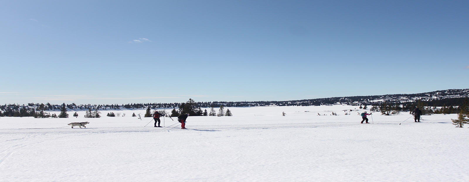 Snølandskap med blå himmel