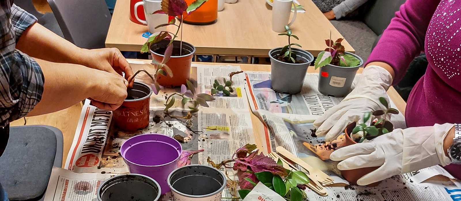 Beboere på asylmottak i Kristiansand deltar i en kreativ og sosial aktivitet med støtte fra Røde Kors.