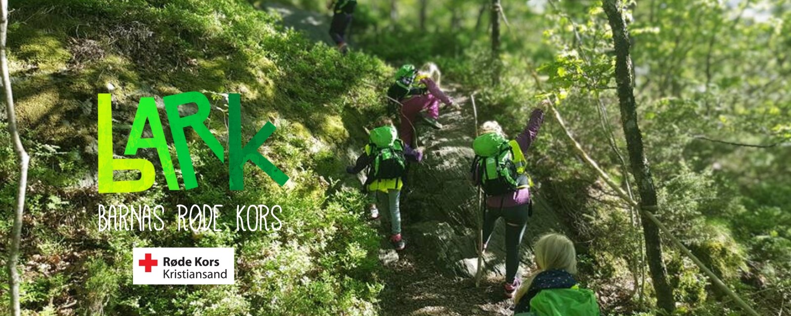 Barn som går i skogen 