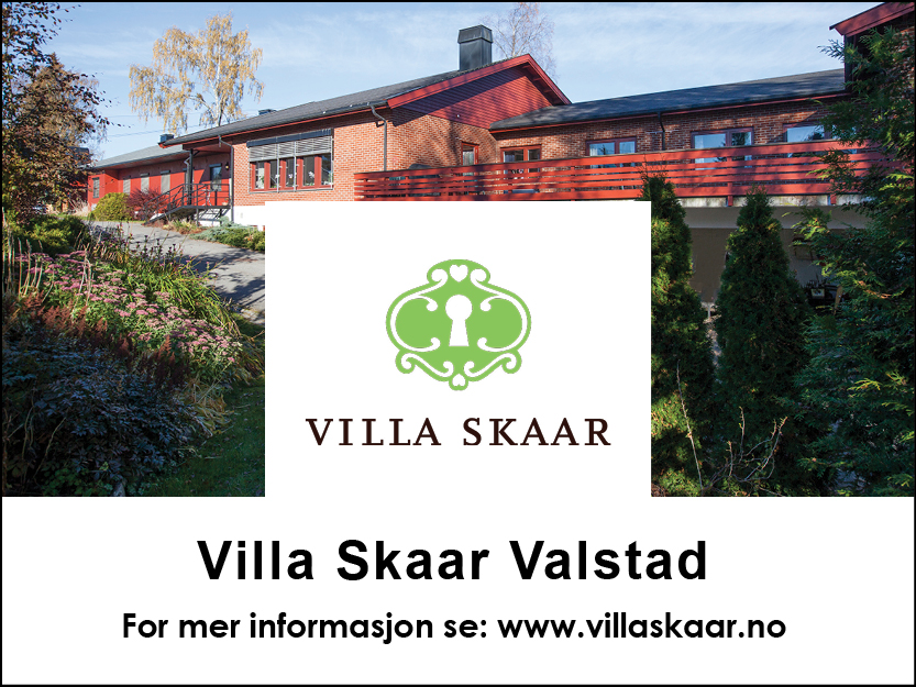 villaskaar_logo