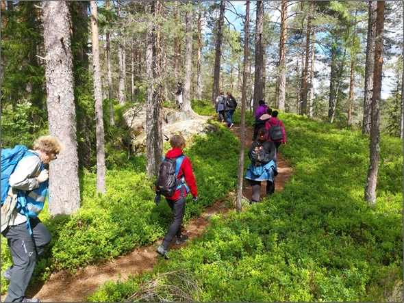 Syv personer som går på en sti i skogen