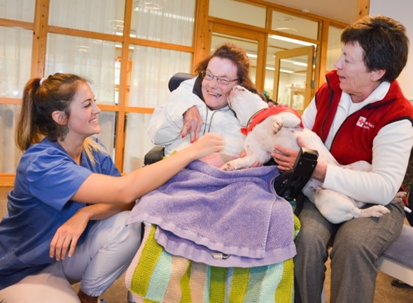 Bes.v. med hund på VBD