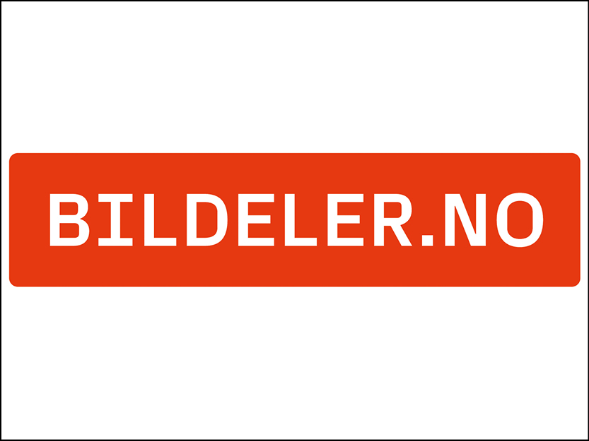 bildeler_logo