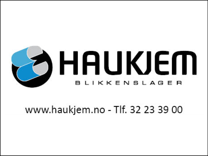 HaukjemBlikkenslager_logo