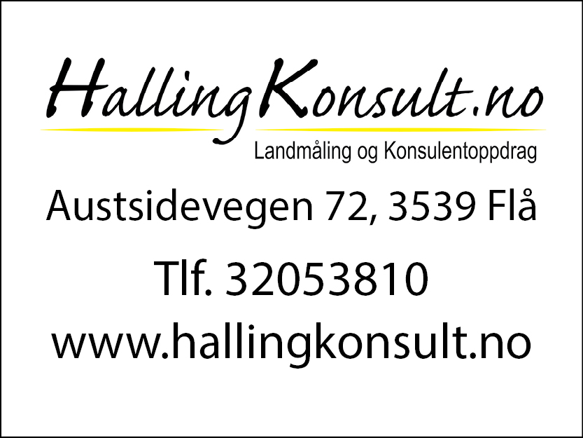 hallingkonsult_logo