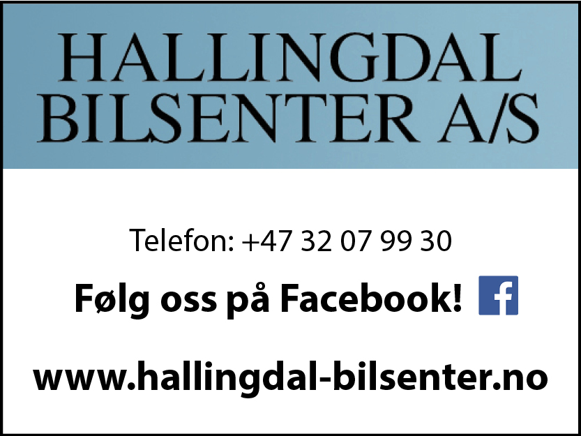 hallingdal-bilsenter_logo