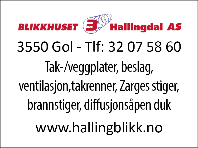 hallingblikk_logo
