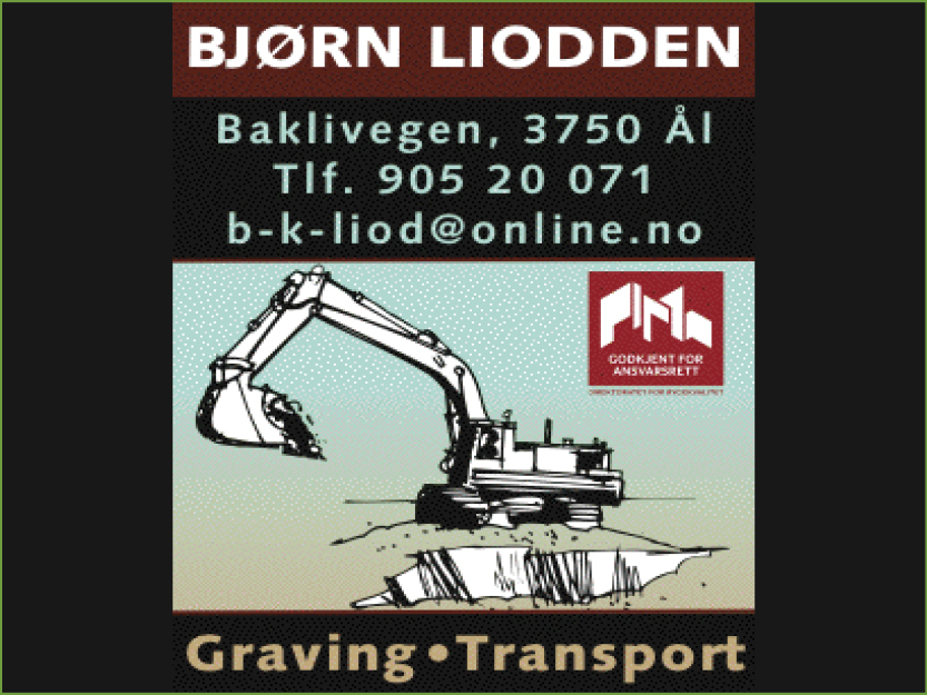 BjornLiodden_logo