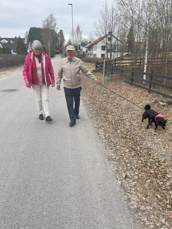To eldre mennesker og en hund på tur