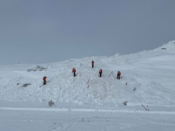 Frivillige leter i snømassene