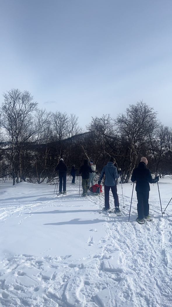 Ungdommer på ski utover skogen på vinteren,