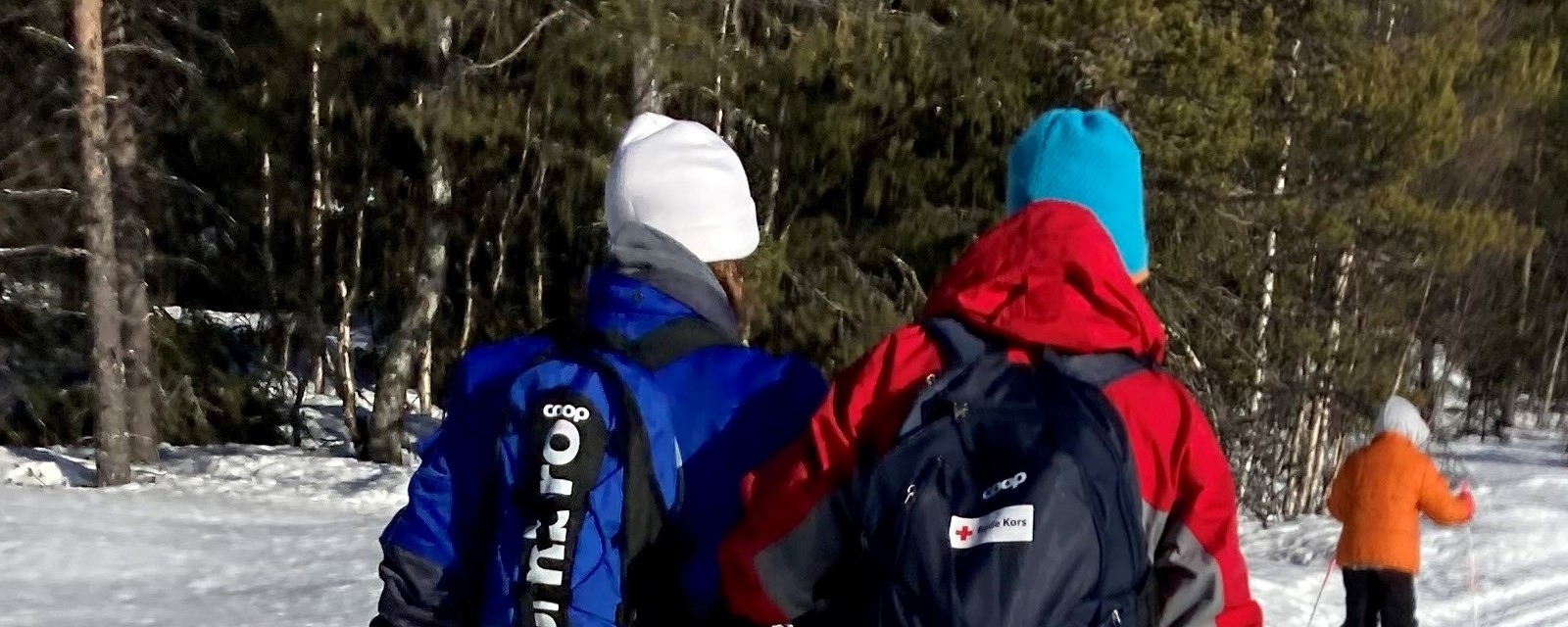 Bilde av noen som går på ski