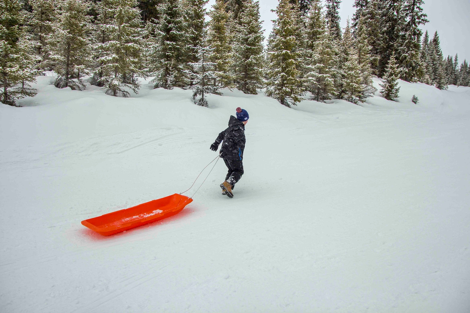 Barn som leker på vinteren
