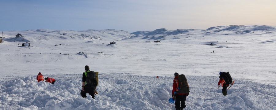 Frivillige fra Røde Kors på øver på hvordan man søker i et snøskred.