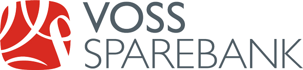 VSp-logo