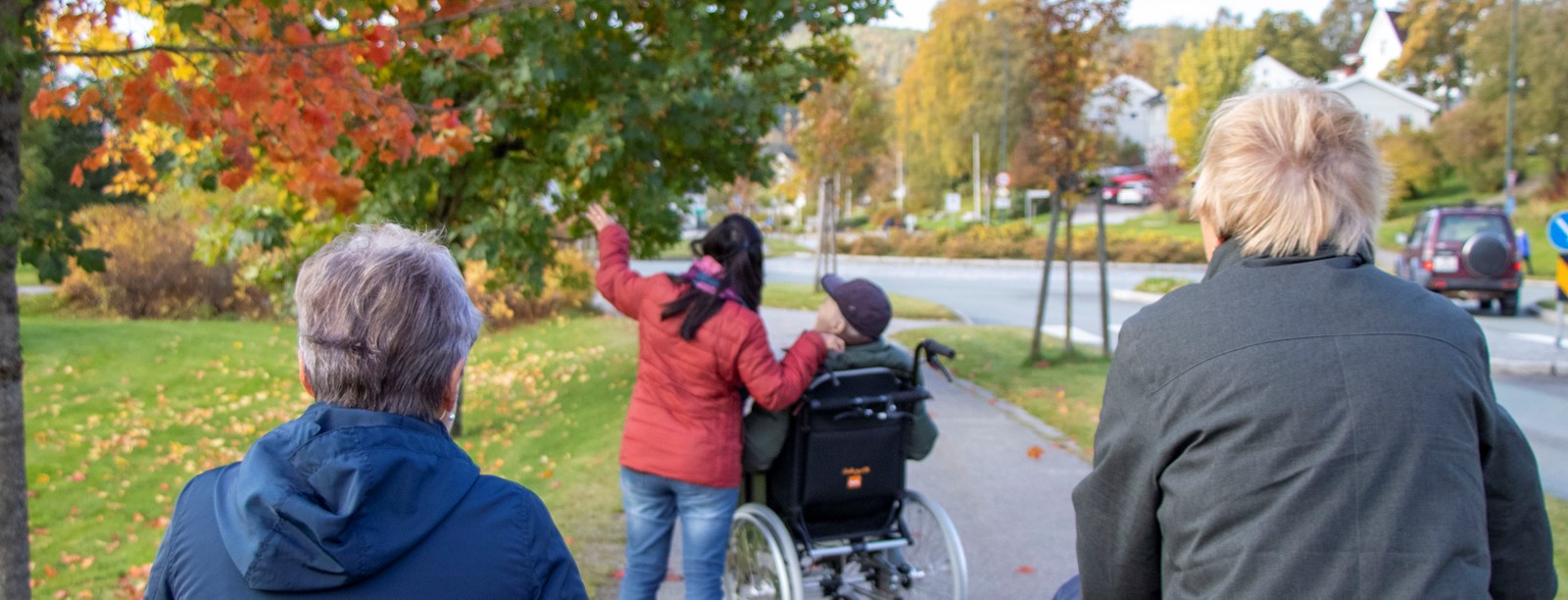 besøksvenner triller eldre som sitter i rullestol ut i naturen