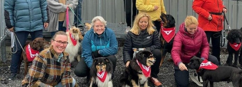 Frivillige og hunder med røde kors skjerf