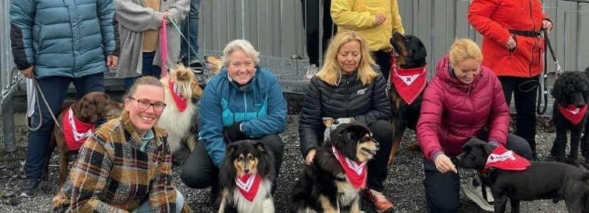 Besøksvenner med hunder