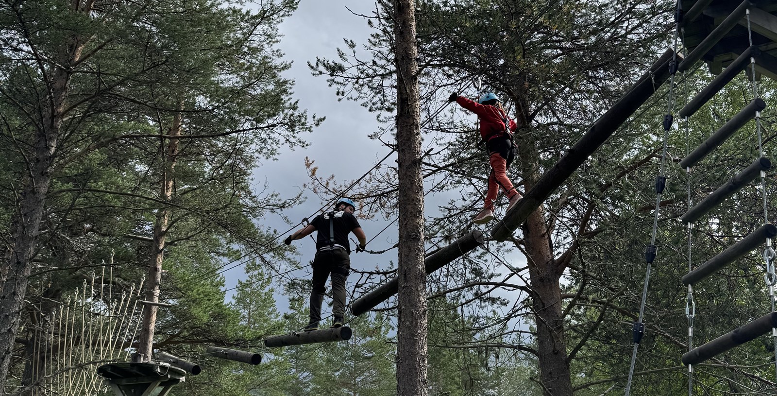 ungdom klatrer i trær