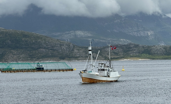 Hvalskute på Kjerringøy