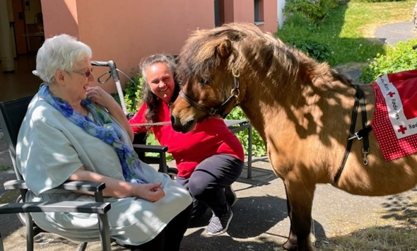 Melvin er en helsehest