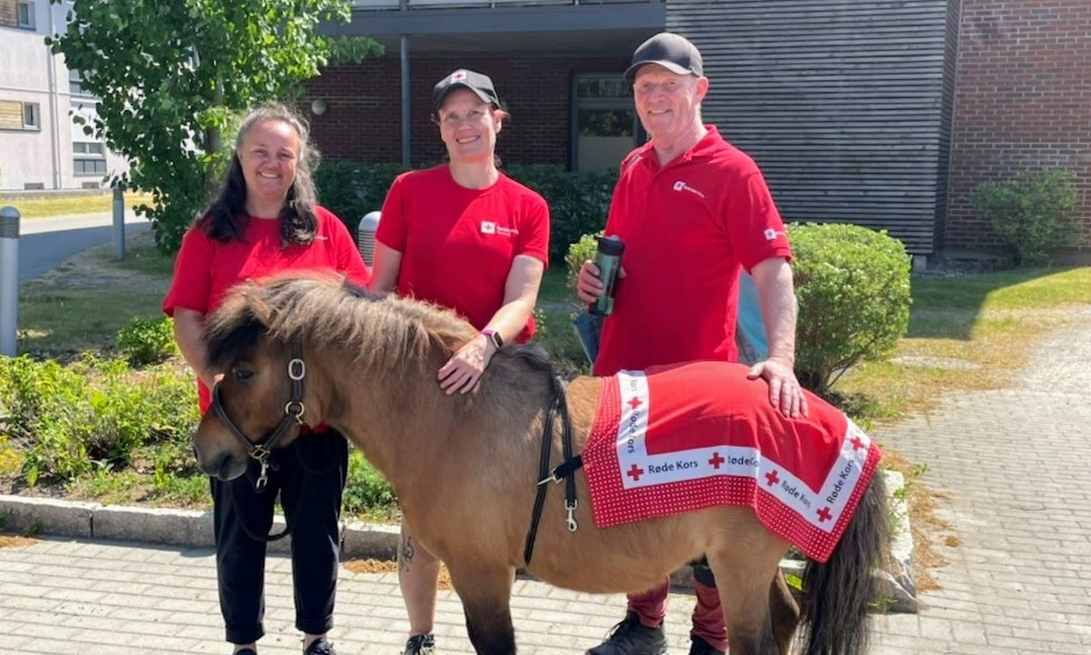 Hesten Melvin og frivillige