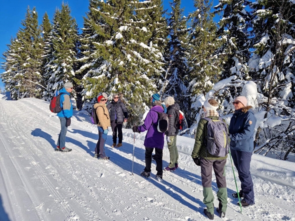 Flere personer går på tur sammen i lysløypa i Tromsø.