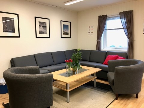 Bildet viser en sofakrok med tulipaner på bordet.