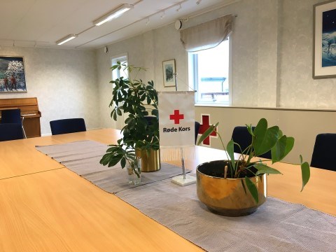 Bildet viser et par grønnplanter på et møteromsbord. Det står en vimpel med Røde Kors-logo på bordet.